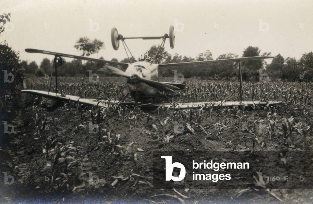 Plane crashed in a field during the First World War (b/w photo)