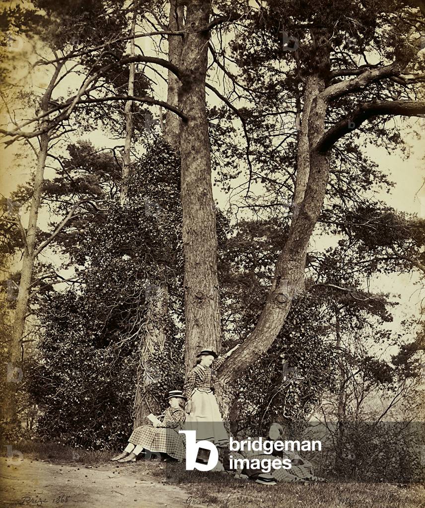 A group of girls resting at the foot of a tree. Great Britain
