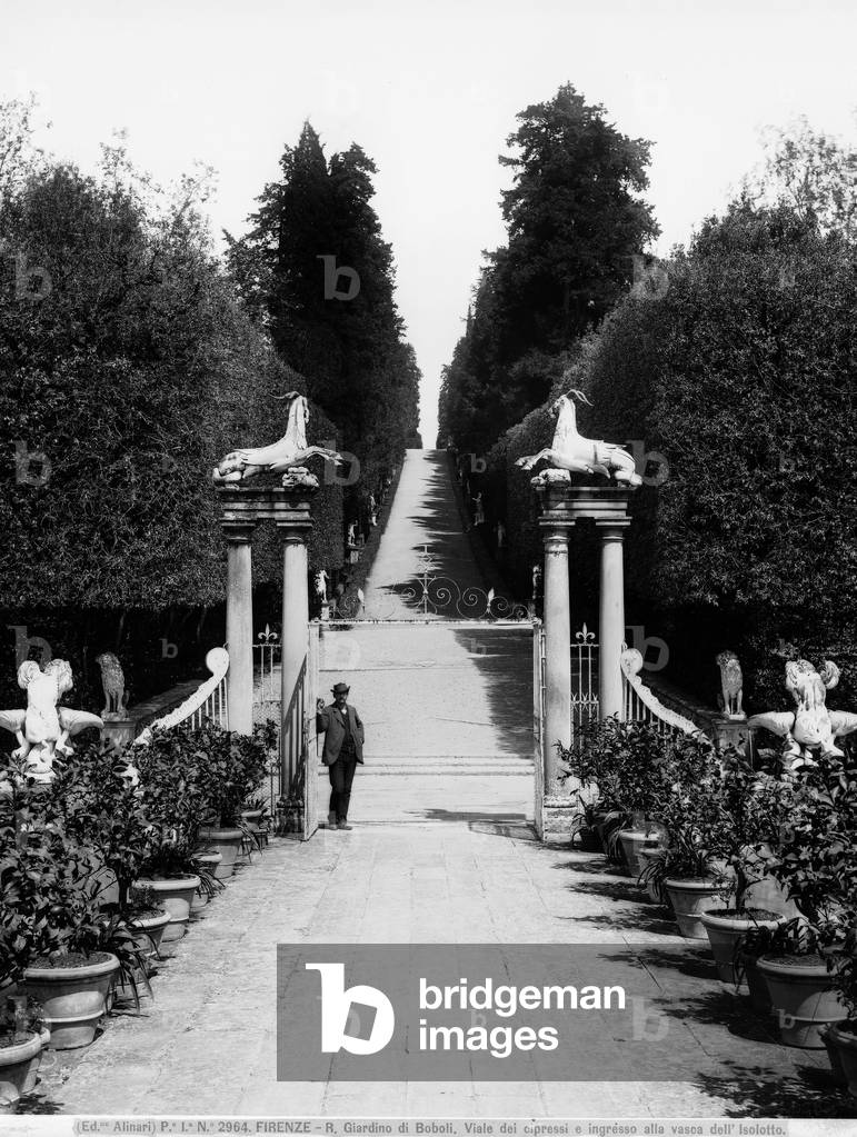 Man at the entrance of the Isolotto with the avenue of cypress trees in the background, Boboli Gardens, Florence