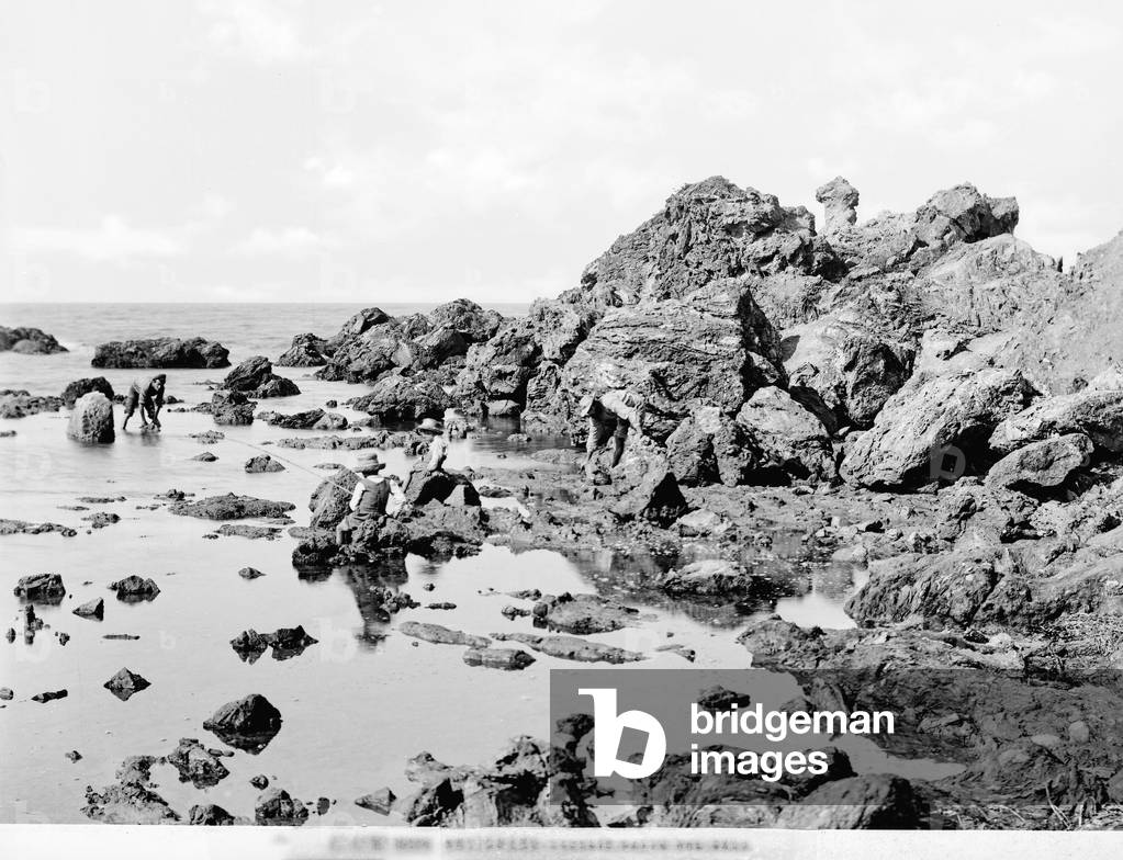 Salt Rock in Antignano