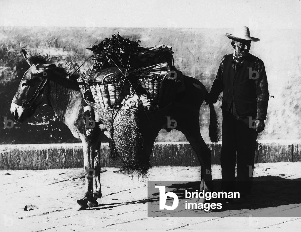 Herb Vendor in Naples