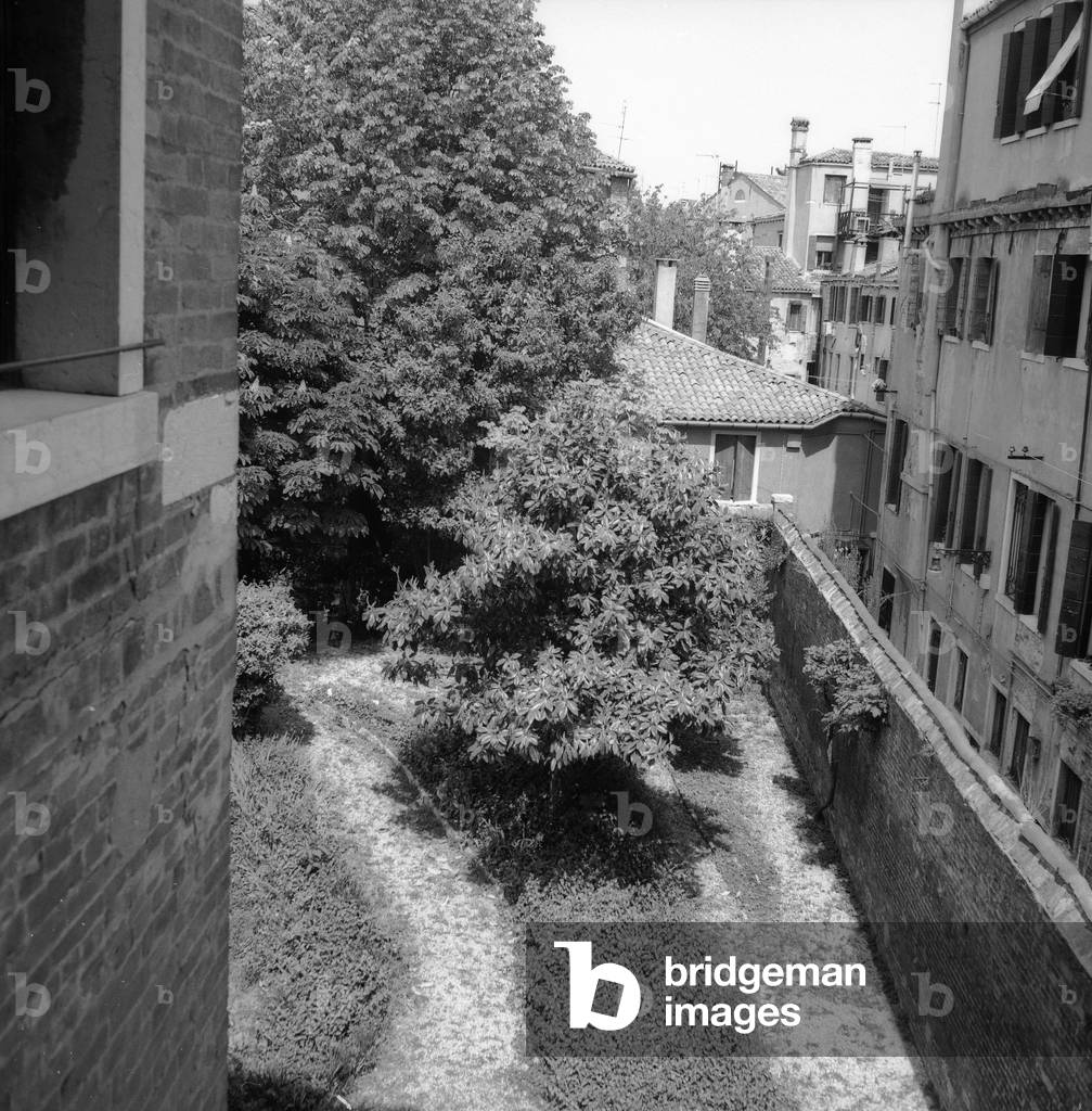Terraced garden in the historic center of Venice (b/w photo)