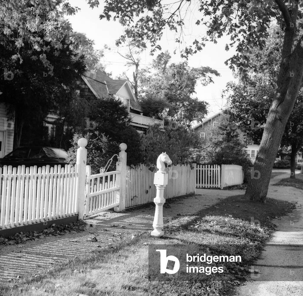 Residential area of Long Island (b/w photo)