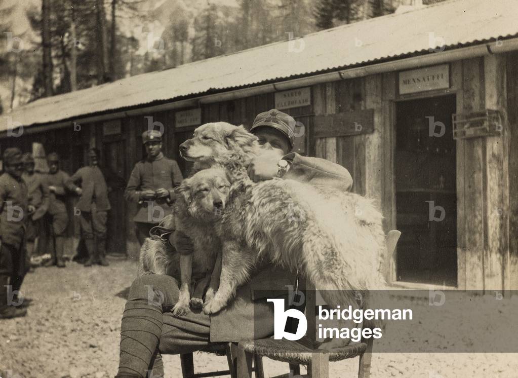 World War I: Italian soldier with dogs (b/w photo)