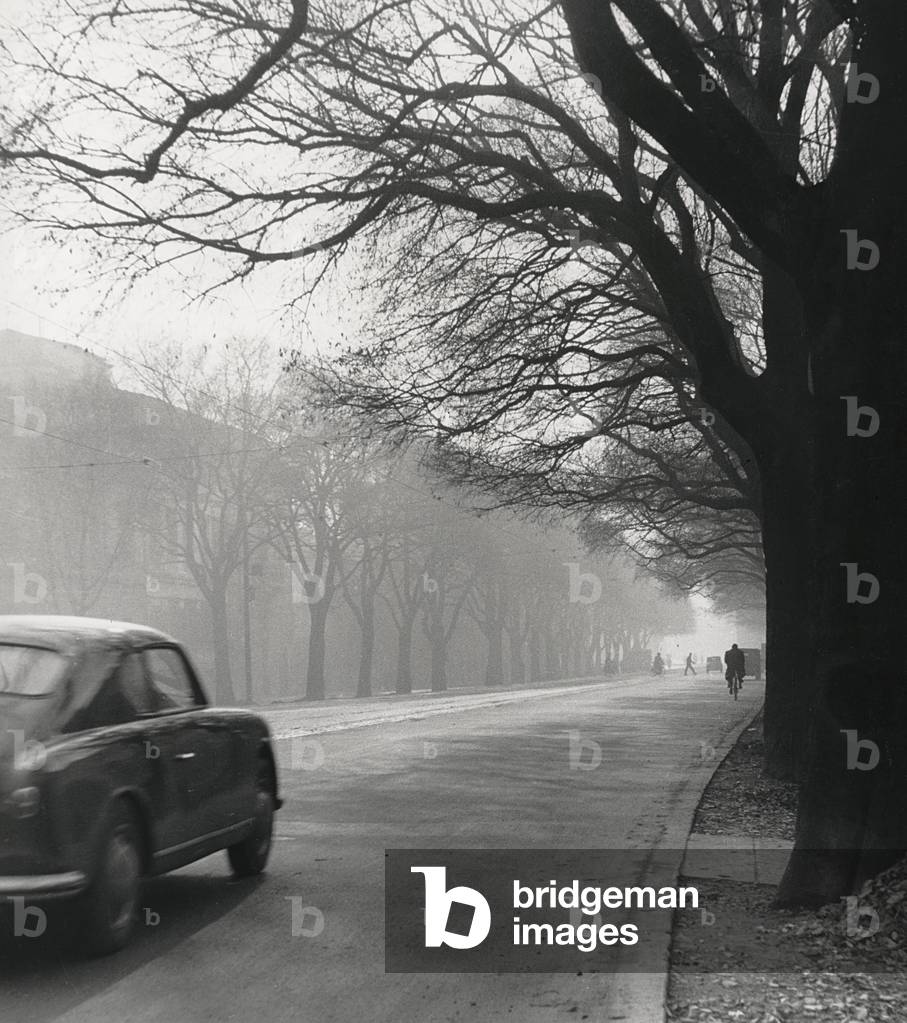 Cars on the avenues with fog, 