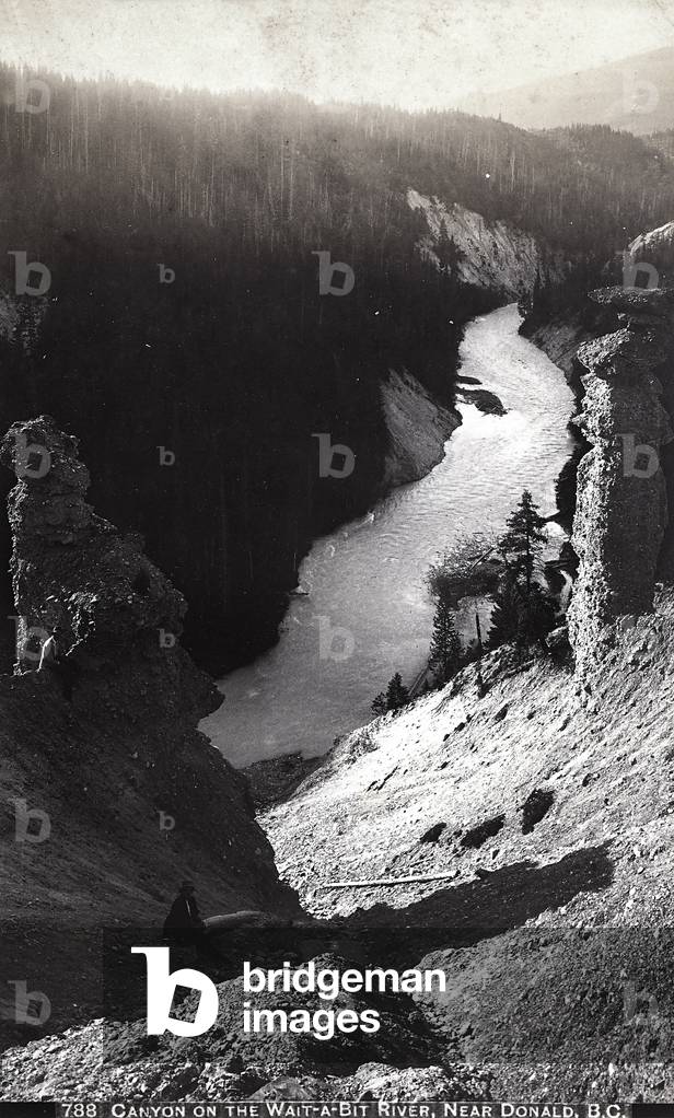 A canyon crossed by the Waitabit River, near Donald in Canada