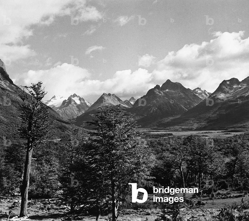 A corner of the Tierra del Fuego National Park