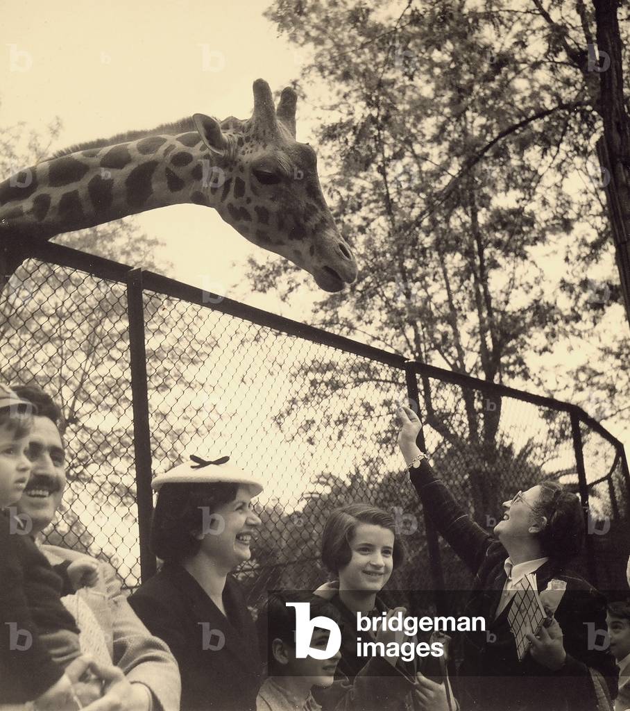 Family at the zoo in front of the giraffe pen.