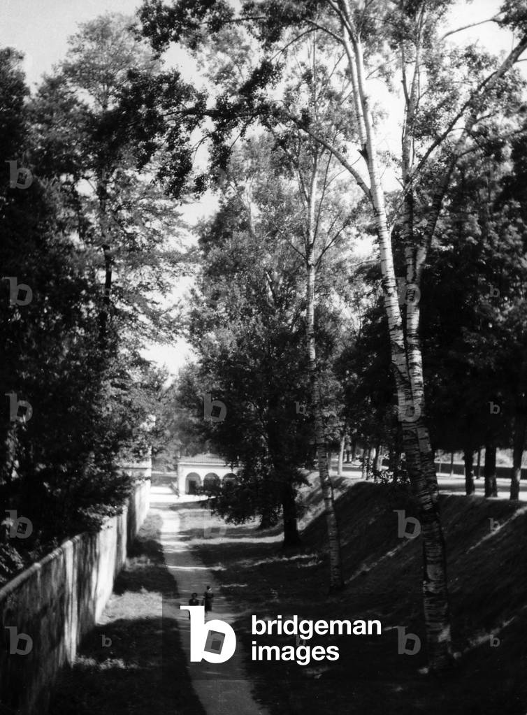 View of the gardens around the walls in Lucca