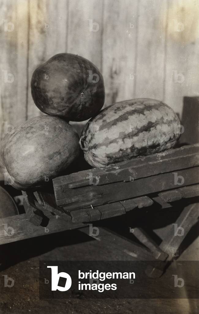 Watermelons