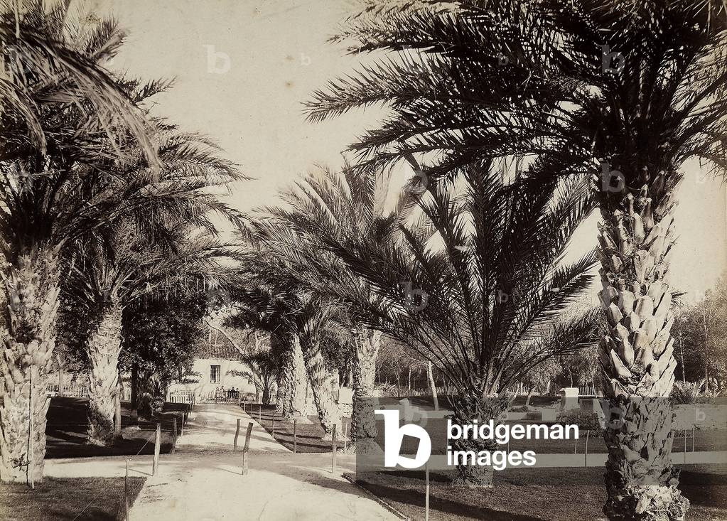 The walkway of Nice Castle.