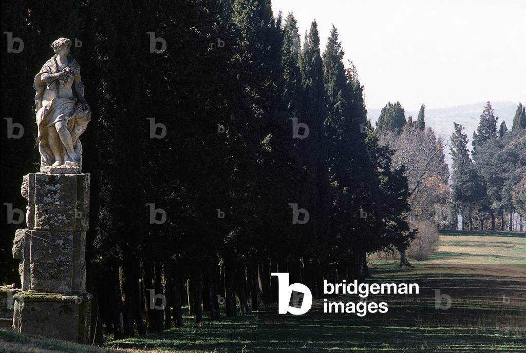 The park of a villa on the outskirts of Pian d'Albola in Chianti.