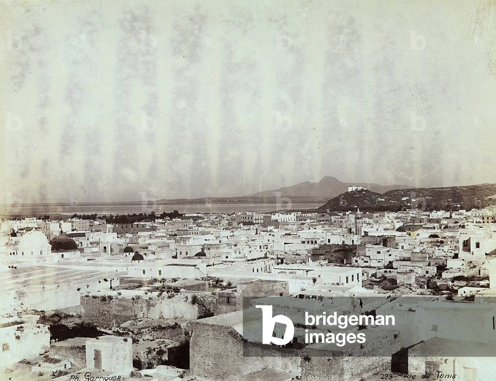 View of the city of Tunis, capital of Tunisia