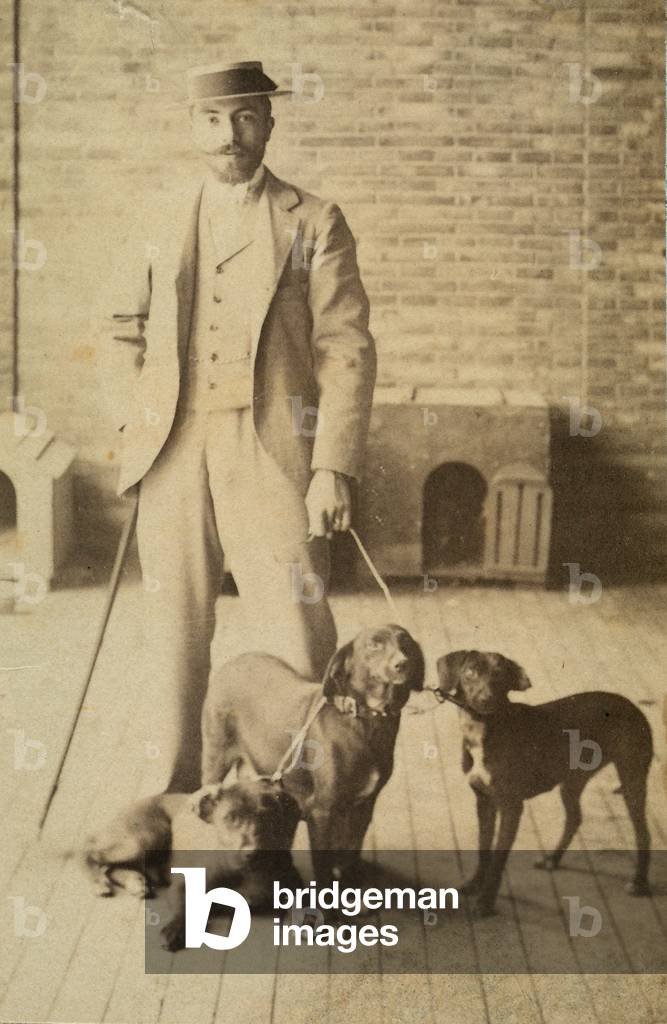 Three dogs being held on leashes by their owner