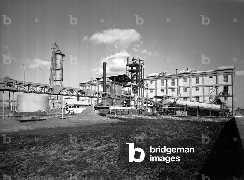 Minerbio sugar factory (Coprob Producers Cooperative sugar beet), 26/10/1960 (photo)