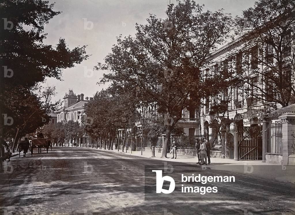 Houses and palaces along a tree-lined avenue of Shanghai