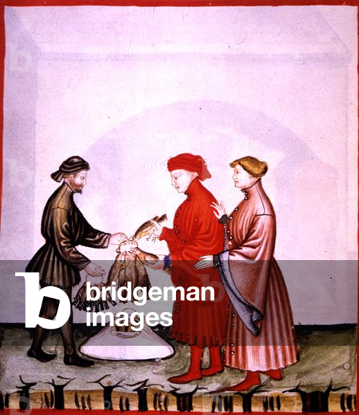 dol.106v Little Birds and Thrushes, illustration from 'Tacuinum Santiatis Codex Vindobonensis' (vellum)