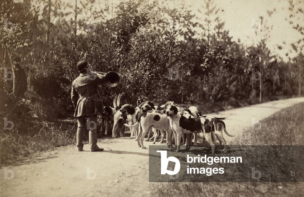 Hunting dogs with a hunter on a country road. The photograph was taken for the Universal Dog Show in France.
