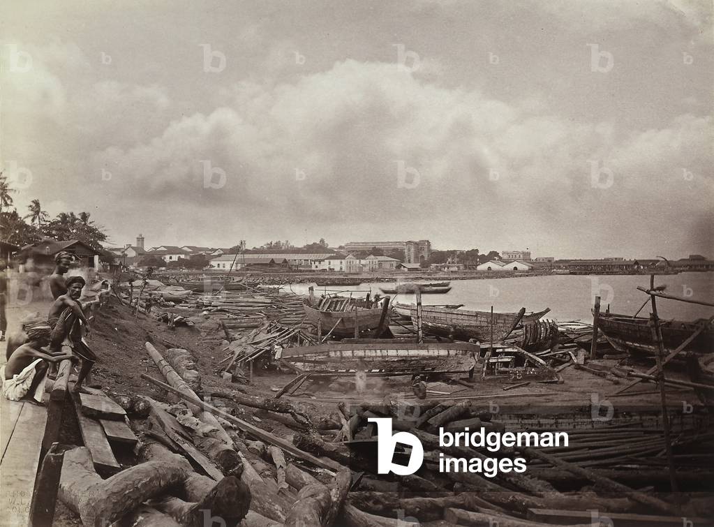 A souvenir of Odoardo Beccari's journeys: a beach in Colombo, Sri Lanka, with tree trunks and boats under construction, 1875 (print on double-weight paper)