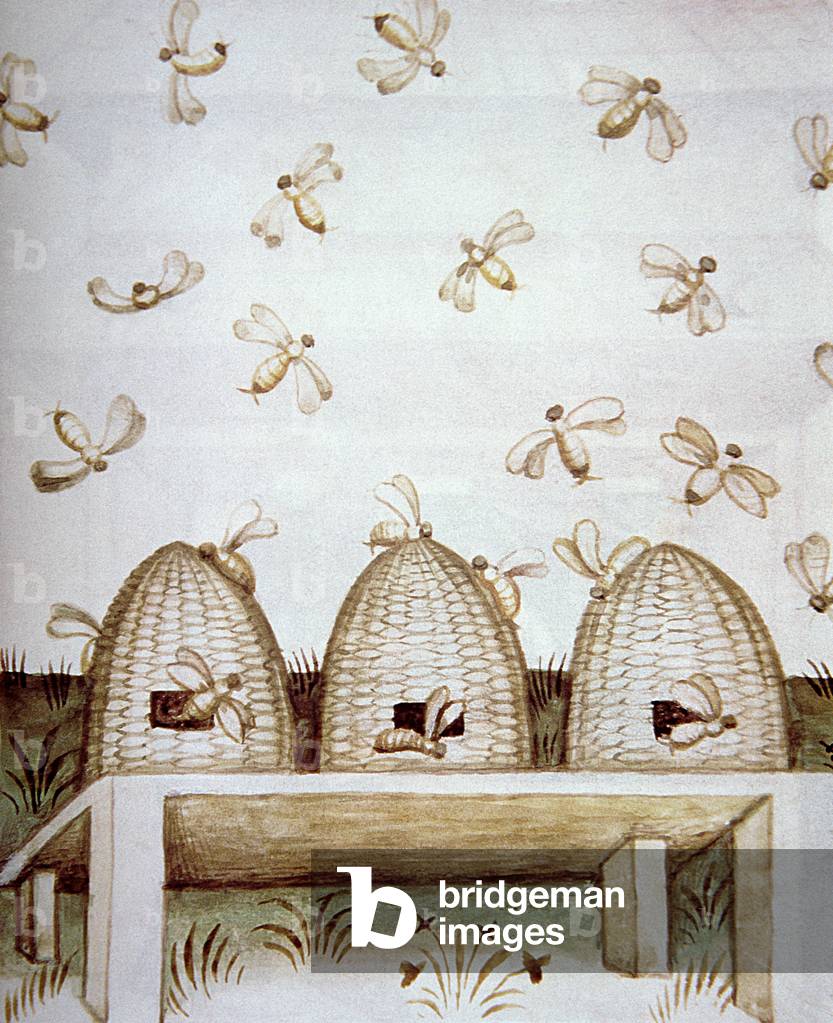 Nova 2644 fol.94v Beehives, from 'Tacuinum Sanitatis' (vellum)