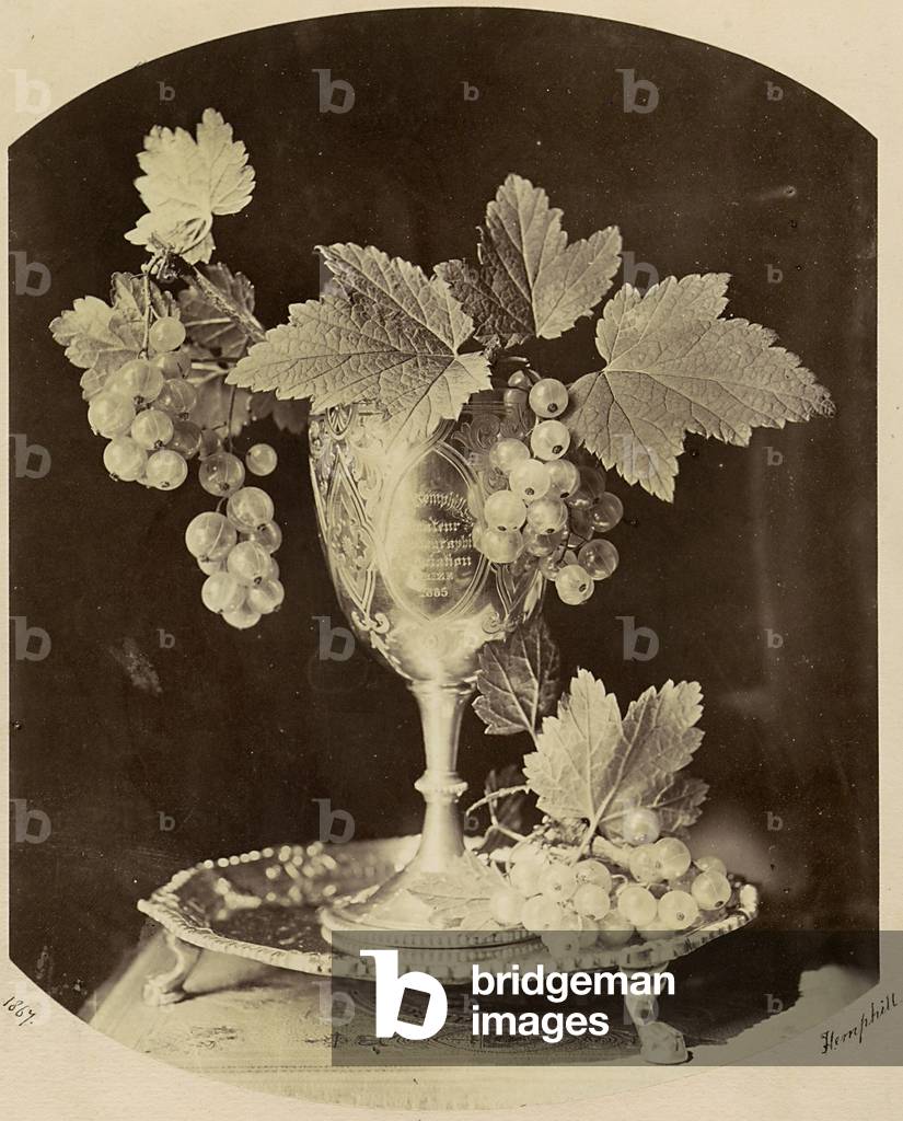 White currants in a chalice