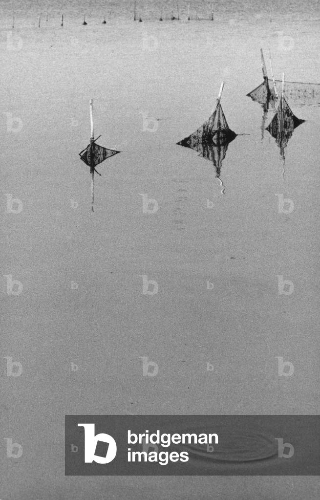 Fishing nets in the lagoon of Orbetello Ponente (b/w photo)