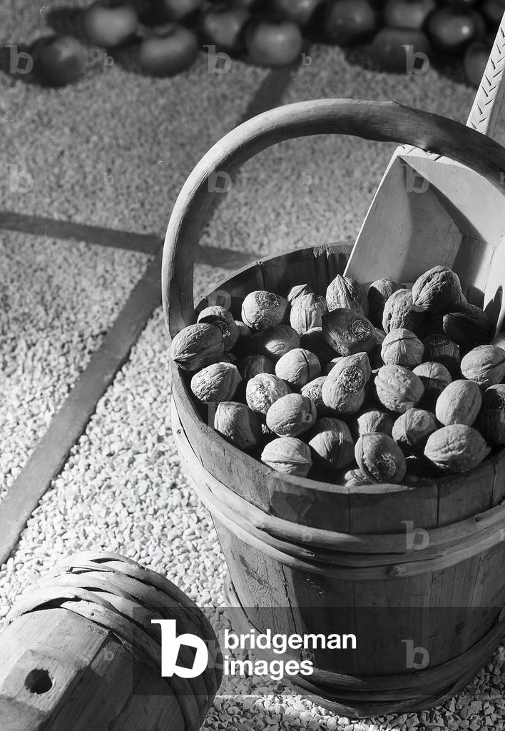 A wooden bucket containing nuts, each stamped with the mark of the Italian Federation of Agricultural Producers' Consortia (b/w photo)