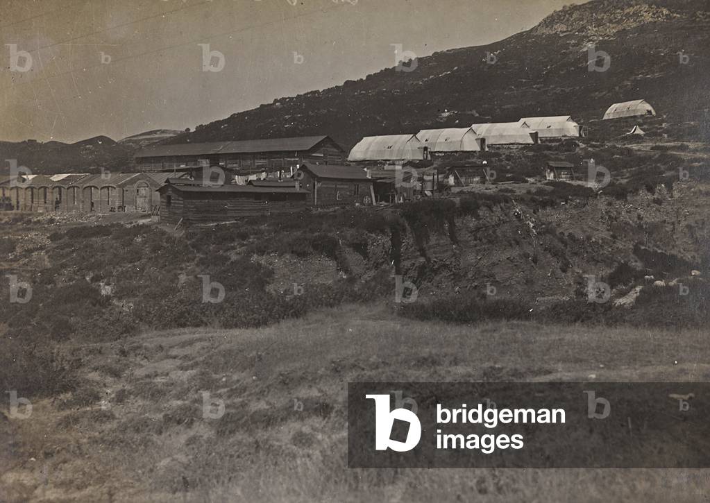 First World War: field hospital (b/w photo)