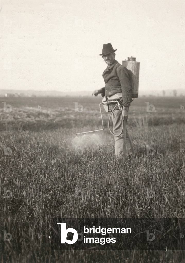 farmer sprays the herbicide on corn, 1930