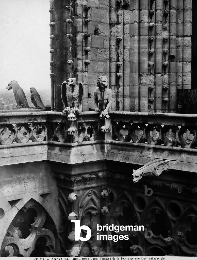 Detail of the terrace of a tower with depictions of fantastic animals. Cathedral of Notre-Dame, Paris