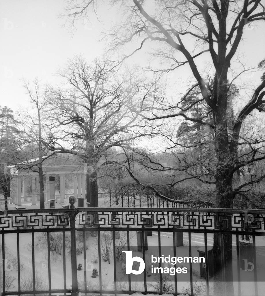 Snowy park of the Palace of Pavlovsk (b/w photo)