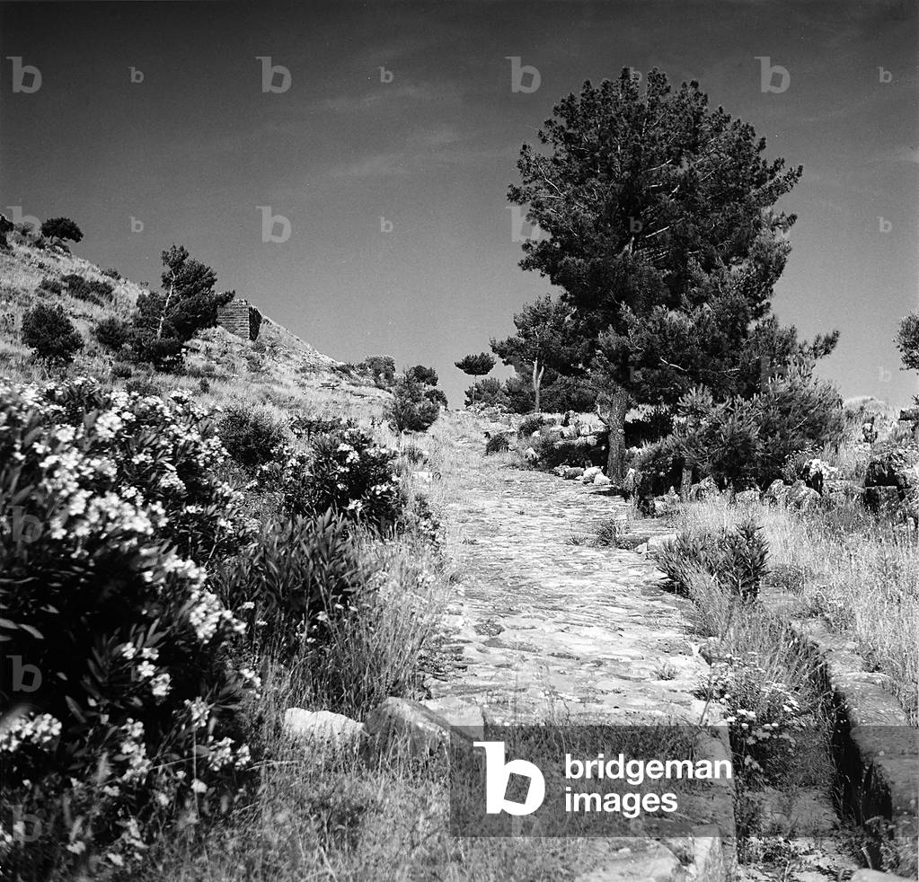 A street among the ruins of Priene