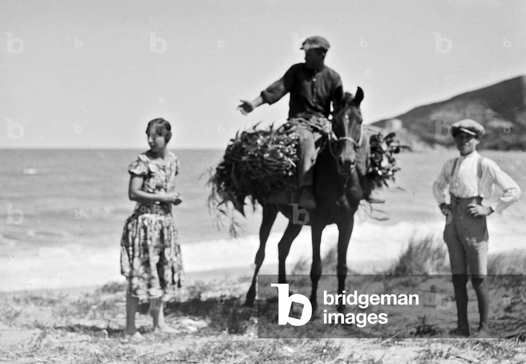Portrait of a man on horseback with two guys on the beach of Procchio