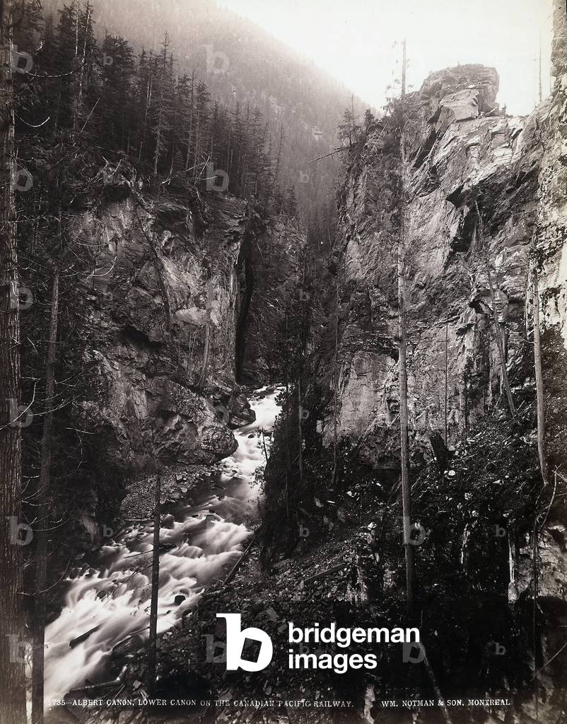 Stream flooding through the canadian mountains.