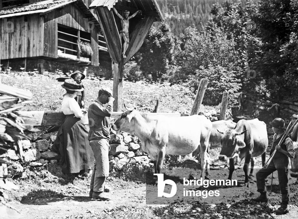 Cows passing in front of a shrine with a crucifix in Tyrol