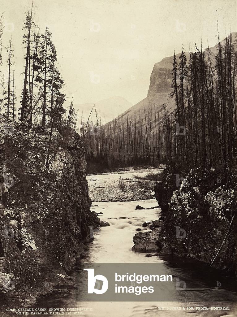 River landscape near Cascade Canyon. In the background Inglismaldie peak, the highest point in the Canadian Rocky Mountains.