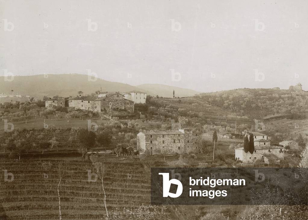 View of farm nearby Radda in Chianti, Siena
