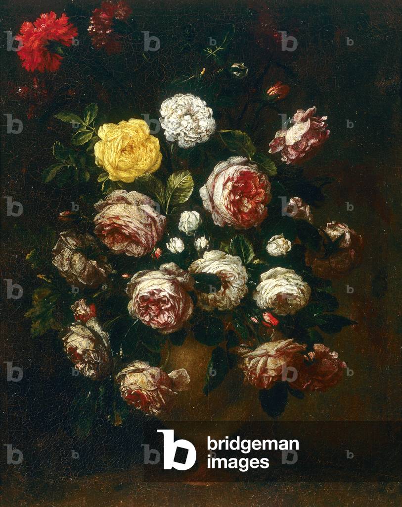 Vase of roses, painting by Bartolomeo Bimbi