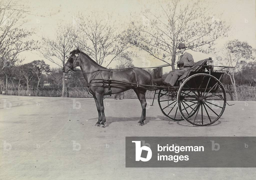 A horse and calash, stopped on a street in China