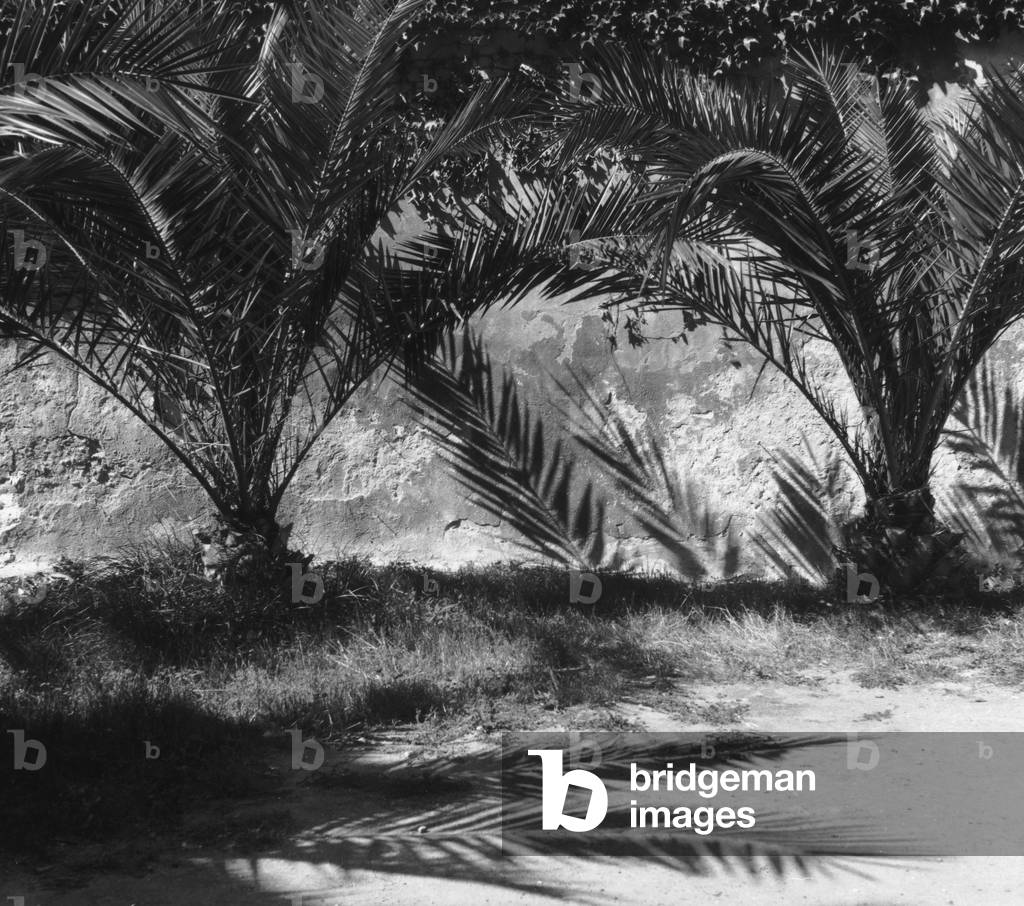 Square of St. Erasmus in Porto Ercole in Monte Argentario (b/w photo)