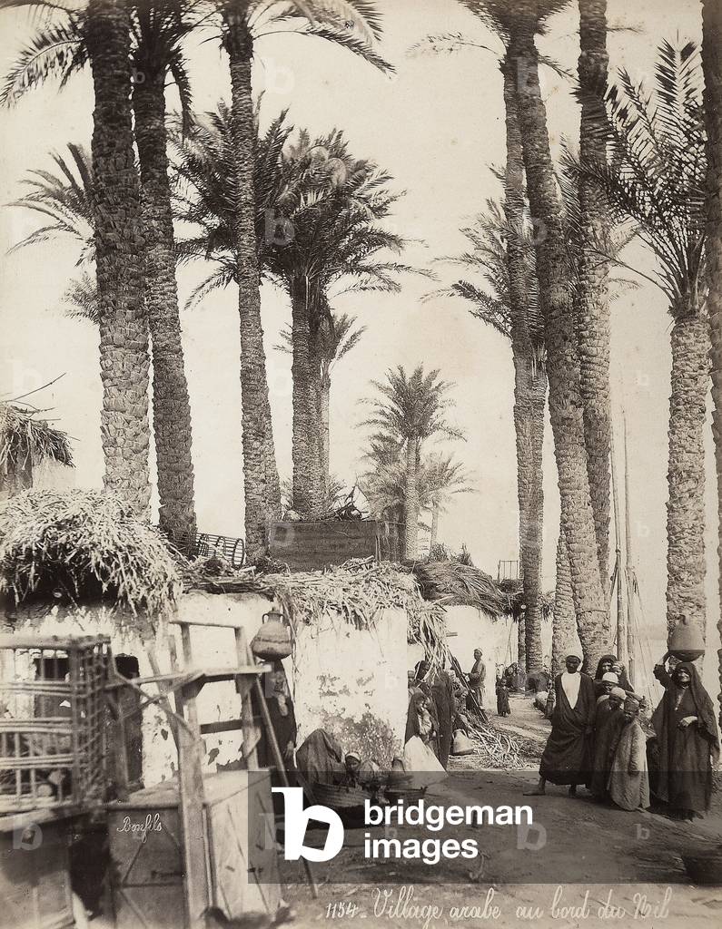 Village on the banks of the Nile