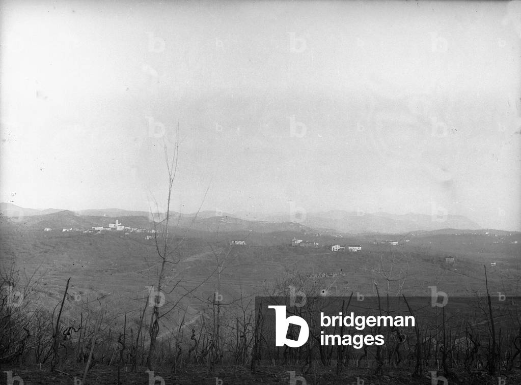 First World War: war zone (b/w photo)