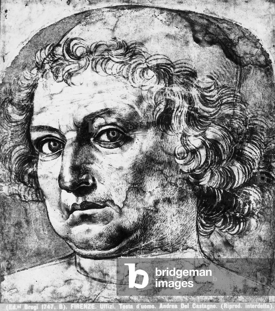 Man's head, or portrait of Andrea del Verrocchio, c.1450 (pen & ink on paper)