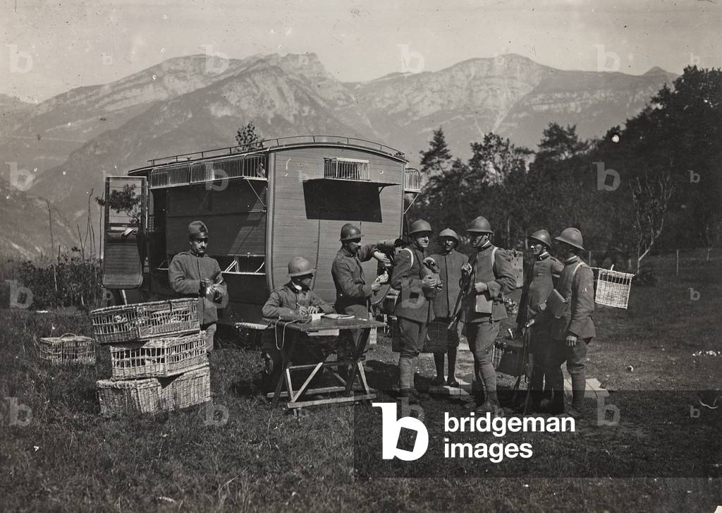 First World War: a group of soldiers in a training camp pigeons (b/w photo)