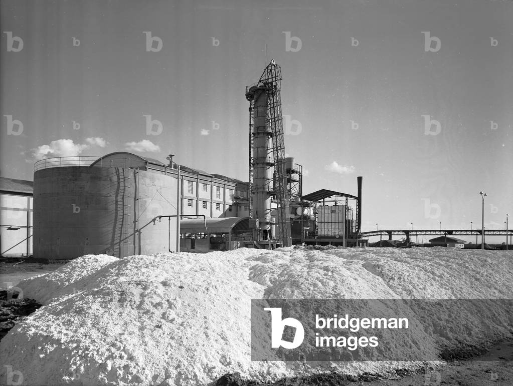 Minerbio sugar factory (Coprob Producers Cooperative sugar beet), 26/10/1960 (photo)