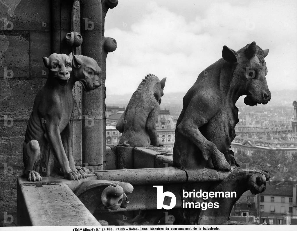 Statues depicting a monstrous animal two heads and two bulls looking over a balustrade. Detail of the sculptures located on a terrace in the Cathedral of Notre-Dame, Paris