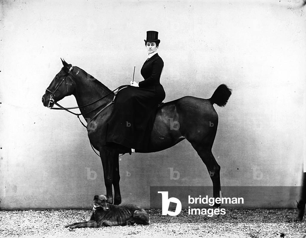Portrait of Mrs. Flori on horseback. A greyhound is in the foreground.