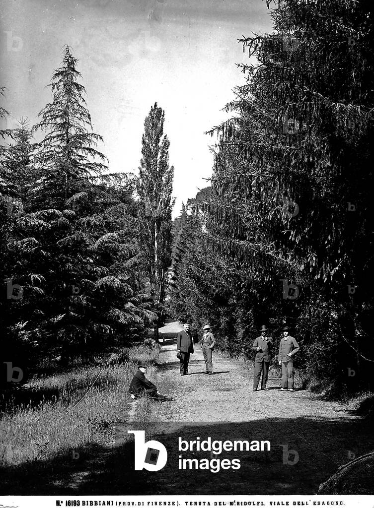 View with people of the road Viale dell'Esagono on the estate of Marquis Ridolfi in Bibbiani (province of Florence).