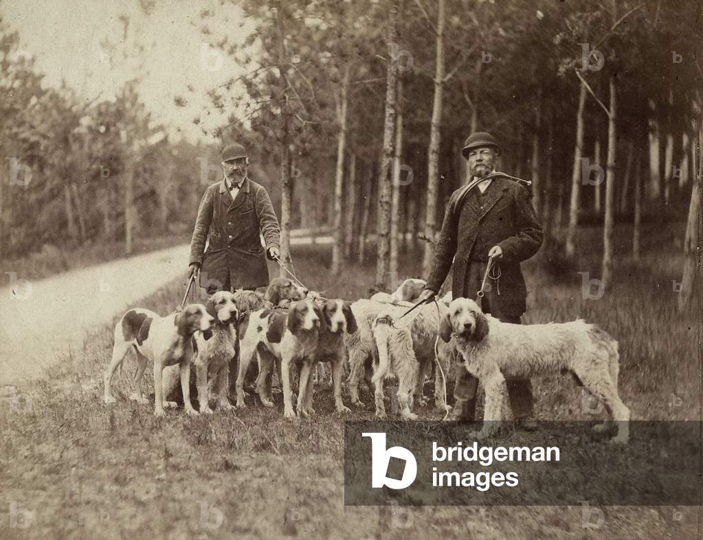Leashed hunting dogs with hunters next to a forest. The photograph was taken for the Universal Dog Show in France.
