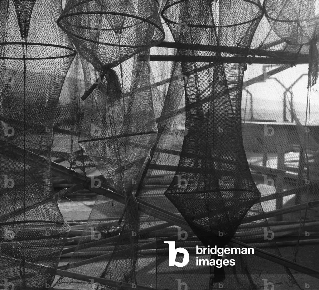 Fishing nets stretched out to dry in Orbetello (b/w photo)